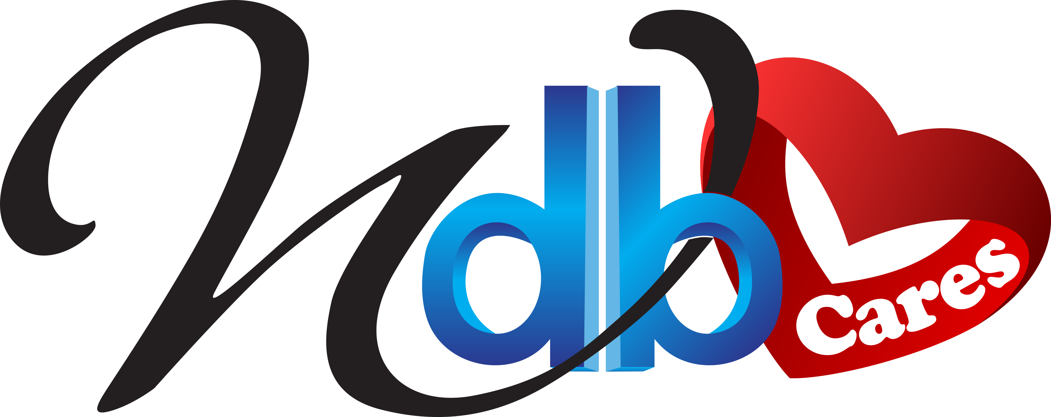 Program partner logo 1