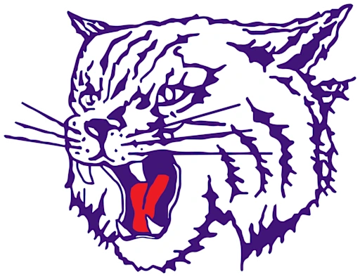 Thornton Township High School logo — Thornton Wildcat emblem