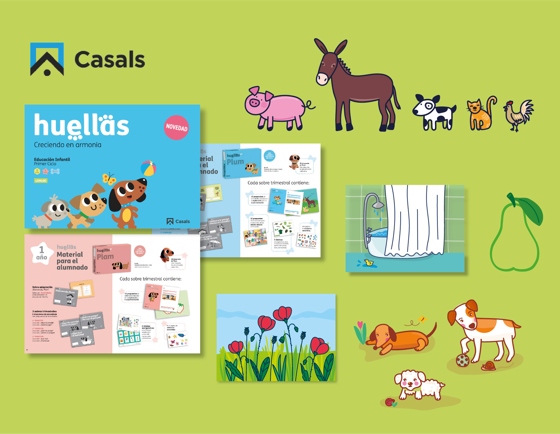 Projecte d'il·lustració per a Editorial Casals