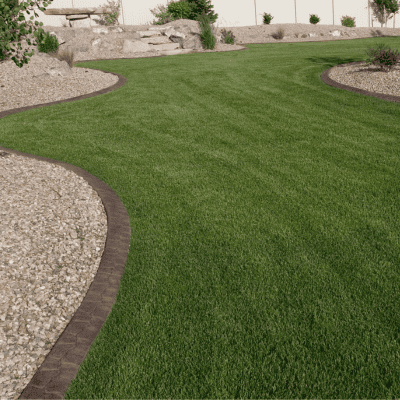 plant installation in Holly springs