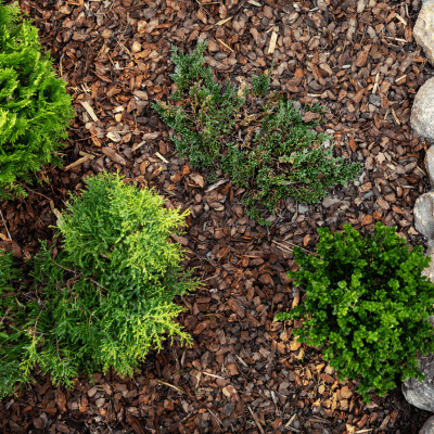 mulch and rock in Holly springs
