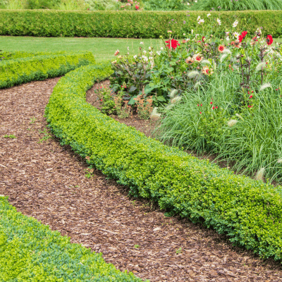 plant installation in Fuquay varina NC