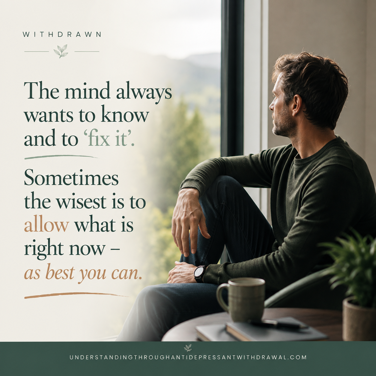 allowing, accepting and letting go