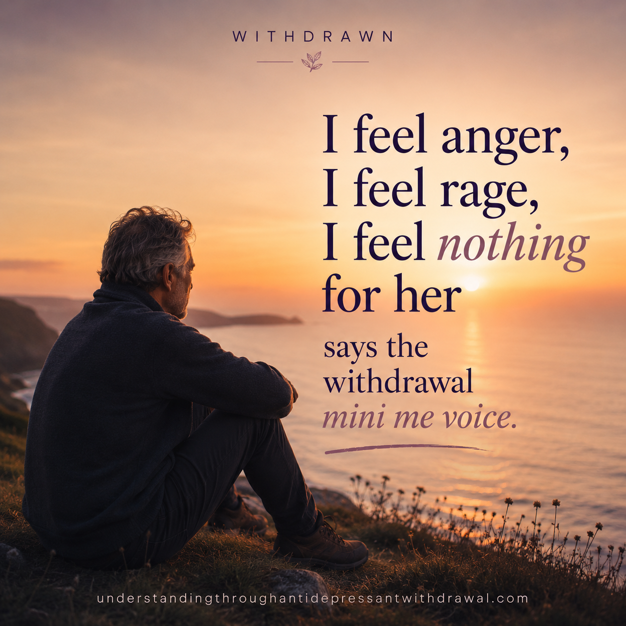anger in withdrawal anger in withdrawal
