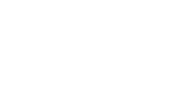 Think Wild Digital Marketing Agency - NYC 