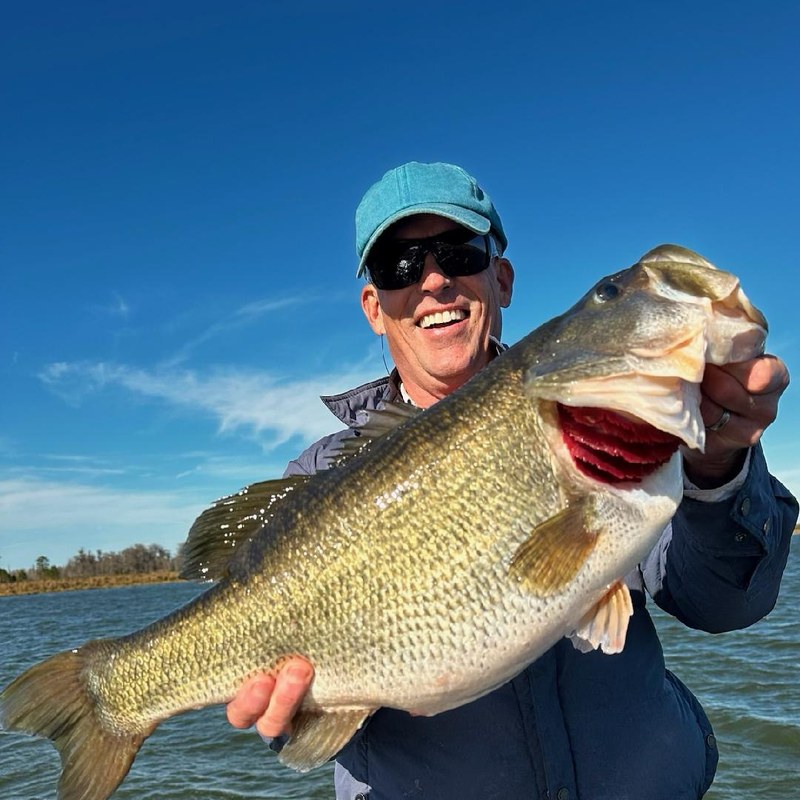 Michael Allen, PhD, Professor, UF School of Forest, Fisheries and Geomatics Sciences, C-HAWQ Advisor