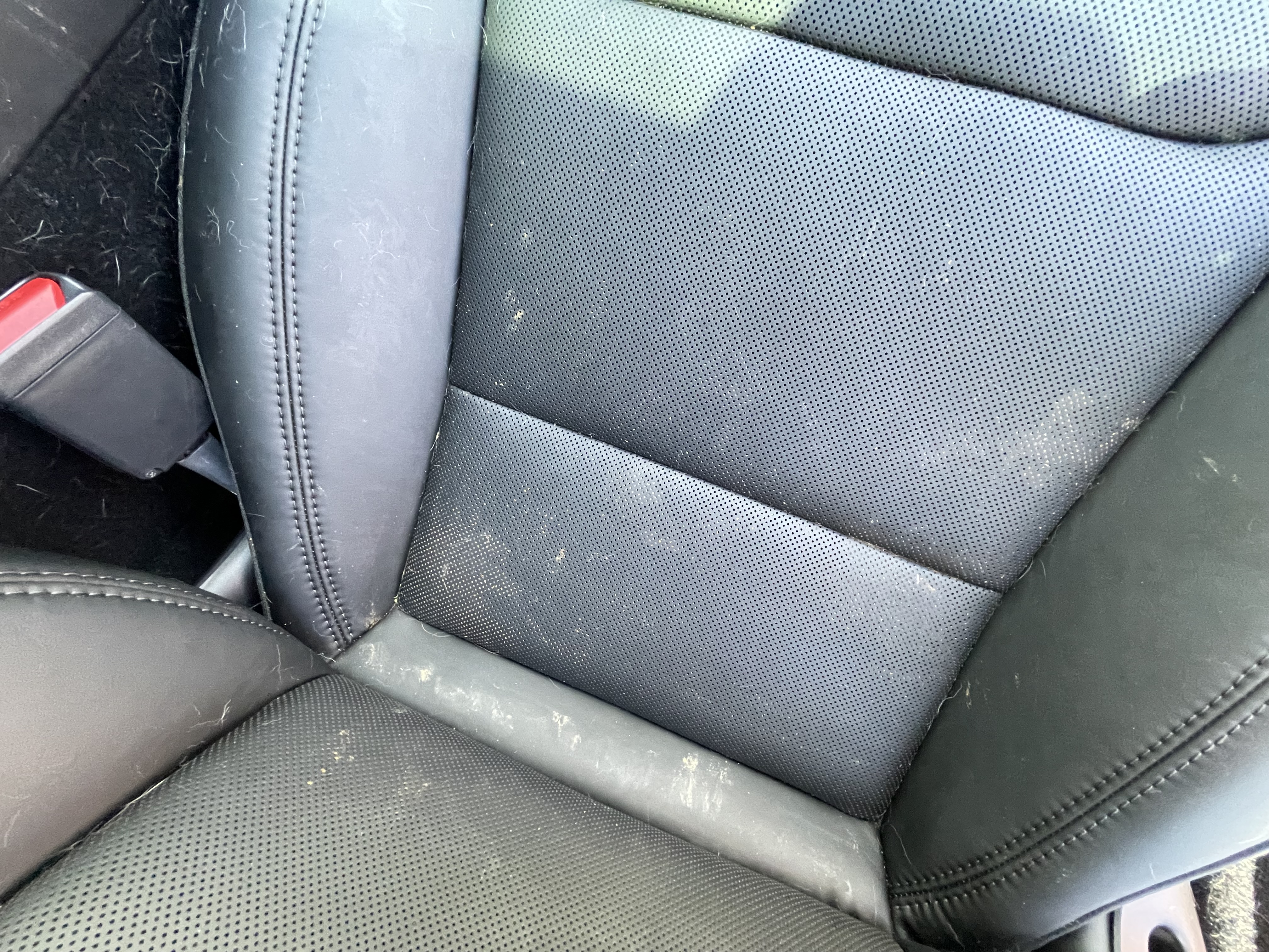 Dirt and mold trapped beneath a vehicle seat contributing to lingering interior odors