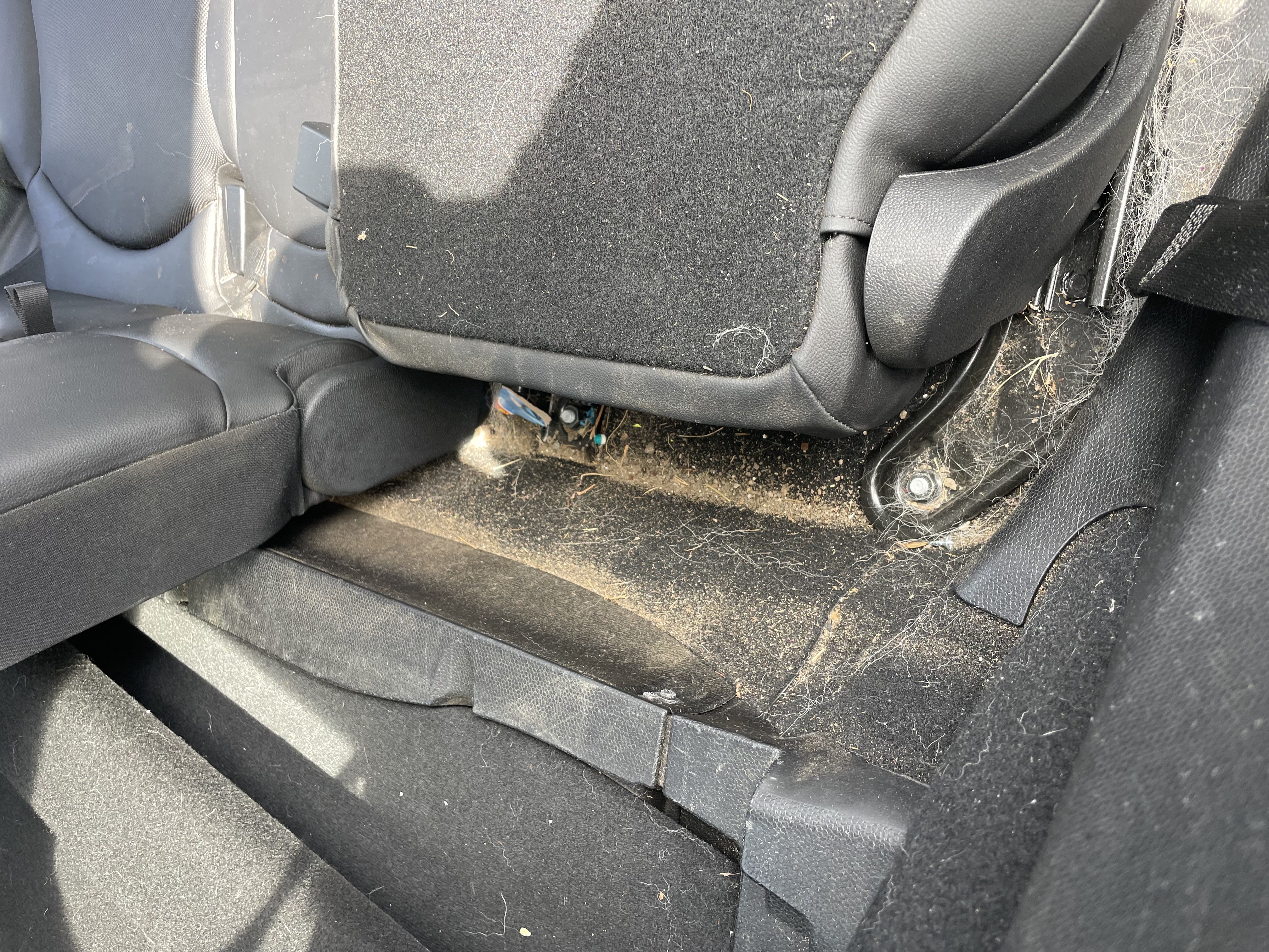 Vehicle door panel and interior showing areas where odor-causing contamination can collect