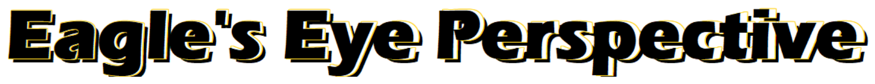 Eagle's Eye Perspective