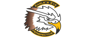 Eagle's Eye Perspective