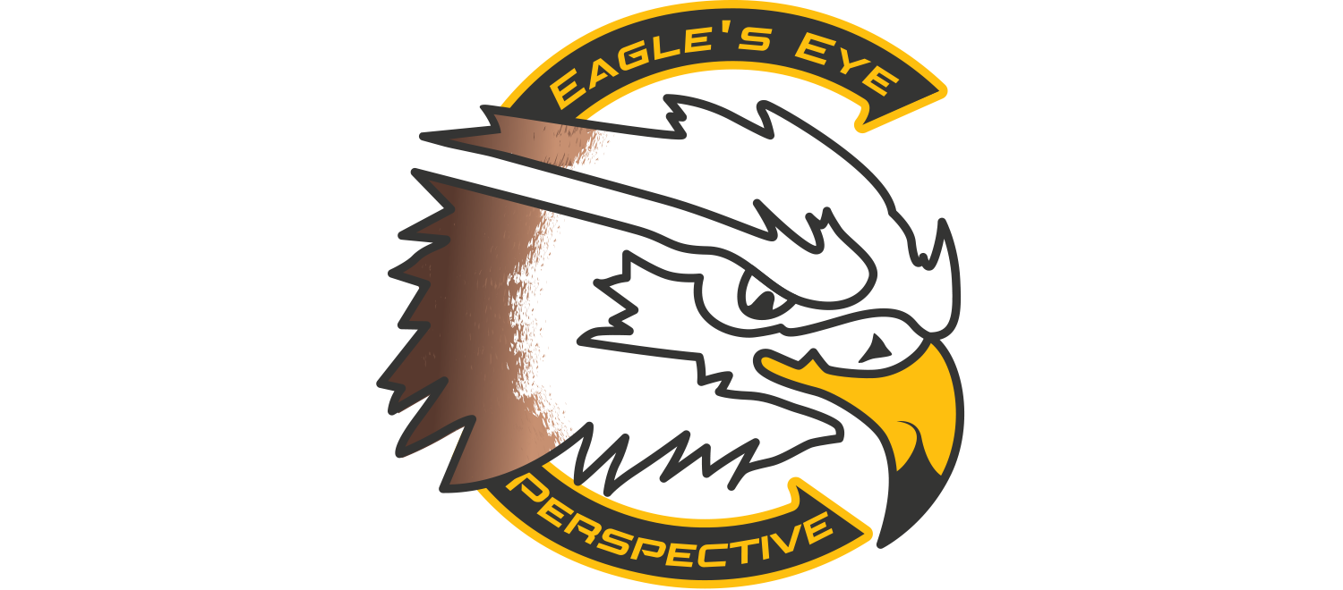 Eagle's Eye Perspective