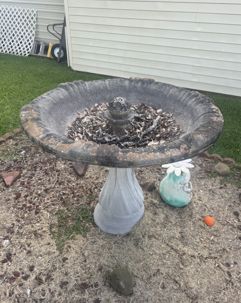 deck pressure washing before and after in Sulphur, LA by Elite Exterior Cleaning