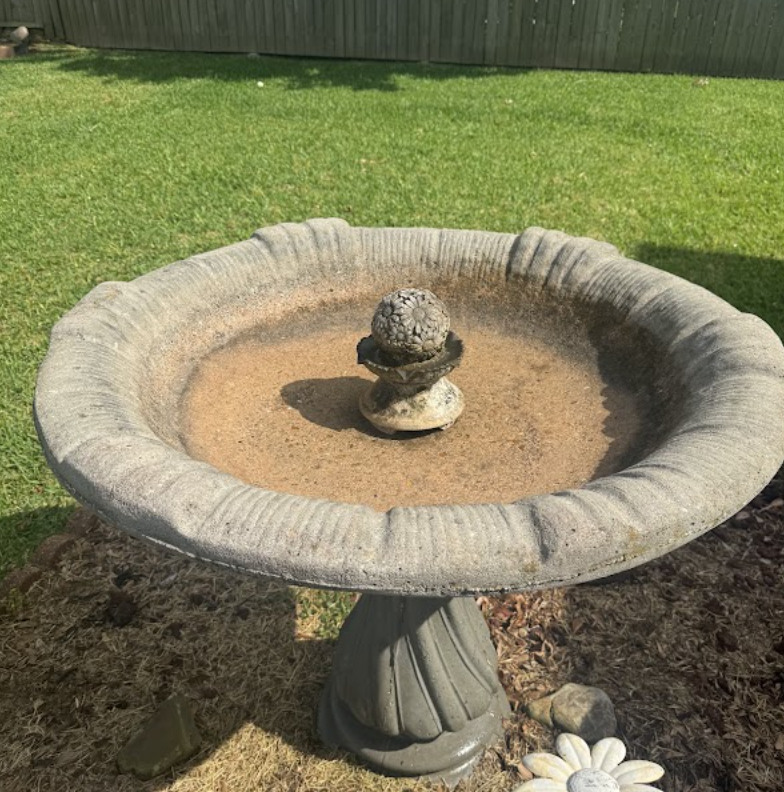 fence cleaning results in Sulphur, LA by Elite Exterior Cleaning