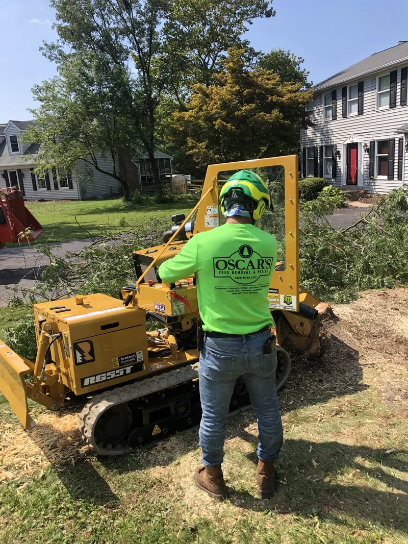 Stump grinding