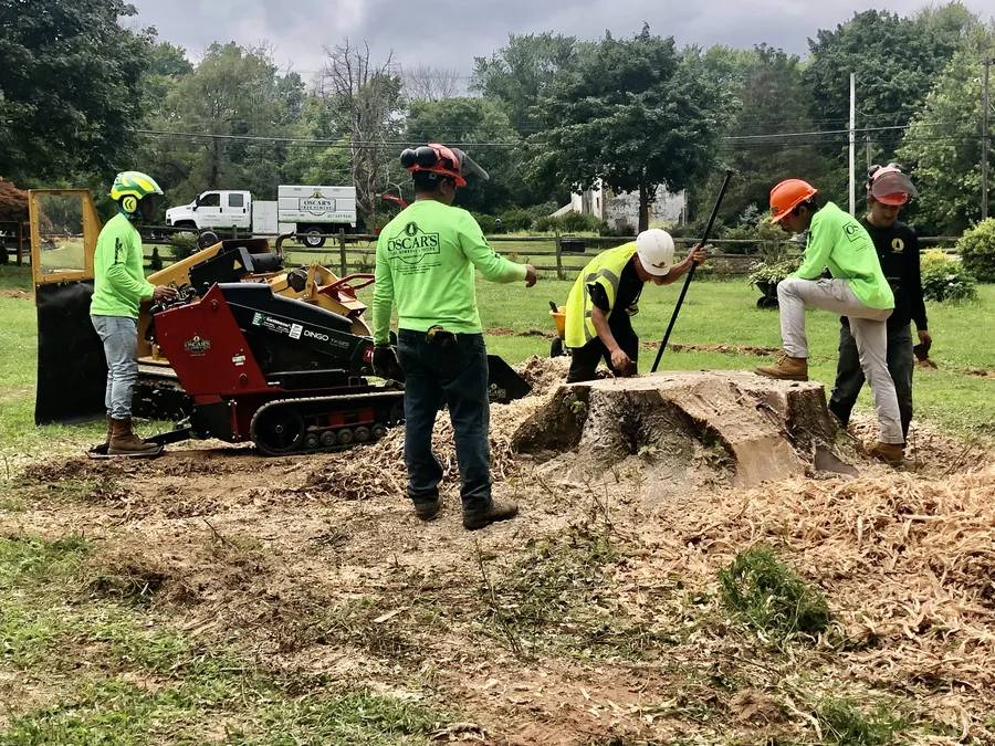 Stump grinding