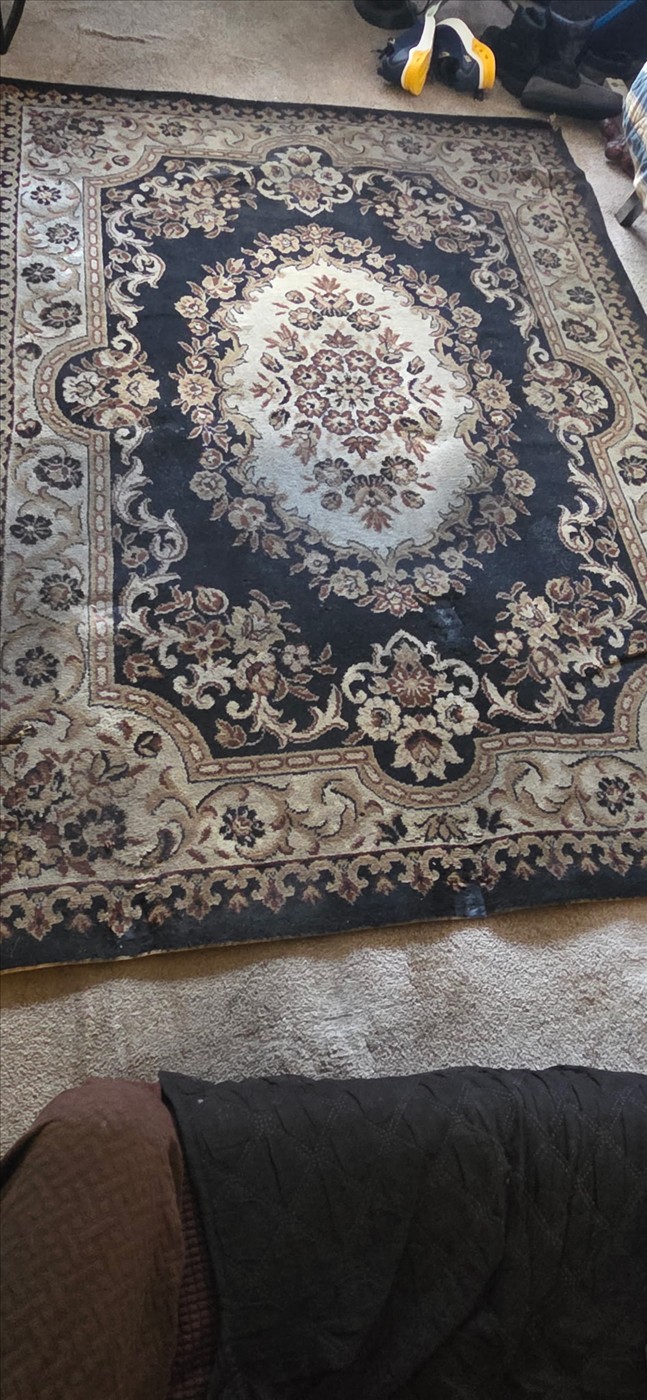 Carpet Cleaning example