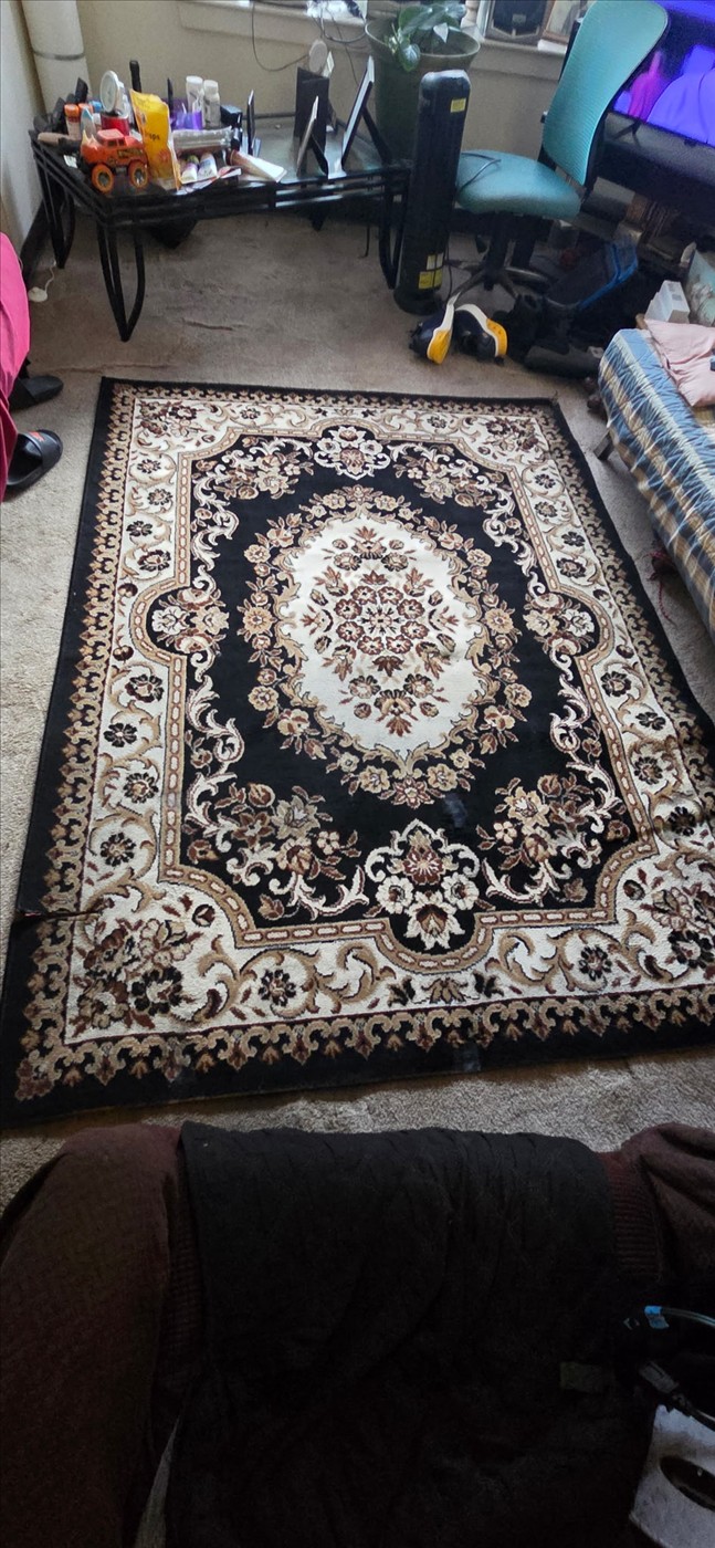 Residential Carpet Cleaning example