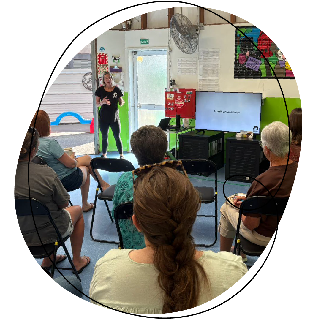 Renee teaching a Beyond Training seminar