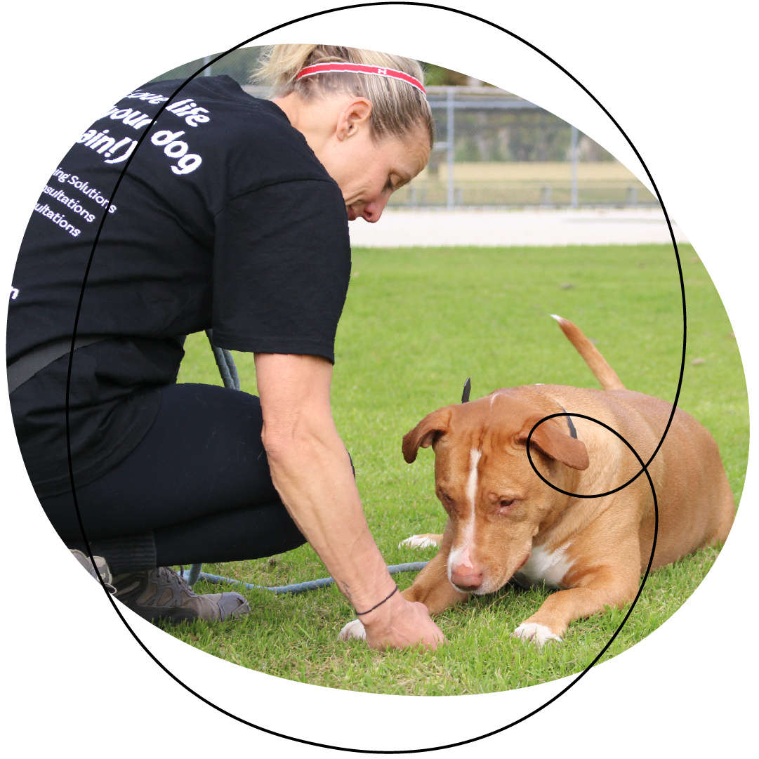 Renee Training the dog Red