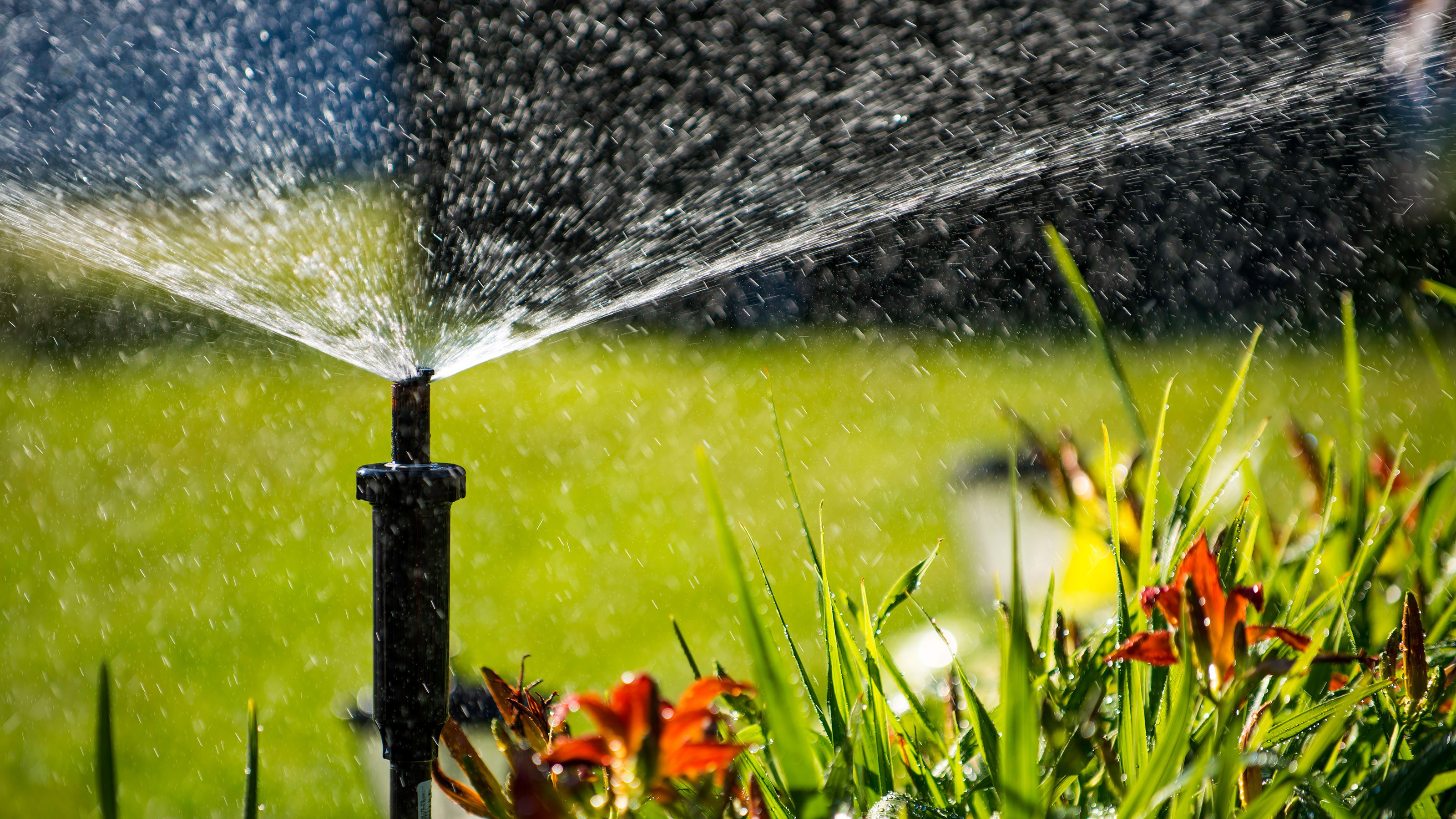 Irrigation System in Sacramento