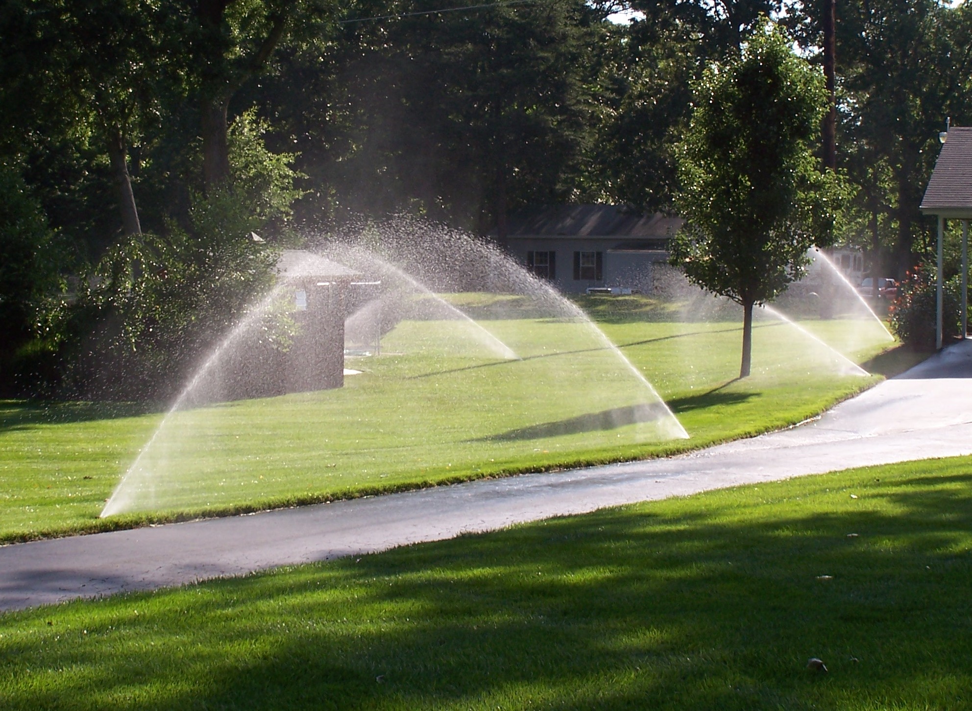 Rocklin Irrigation System