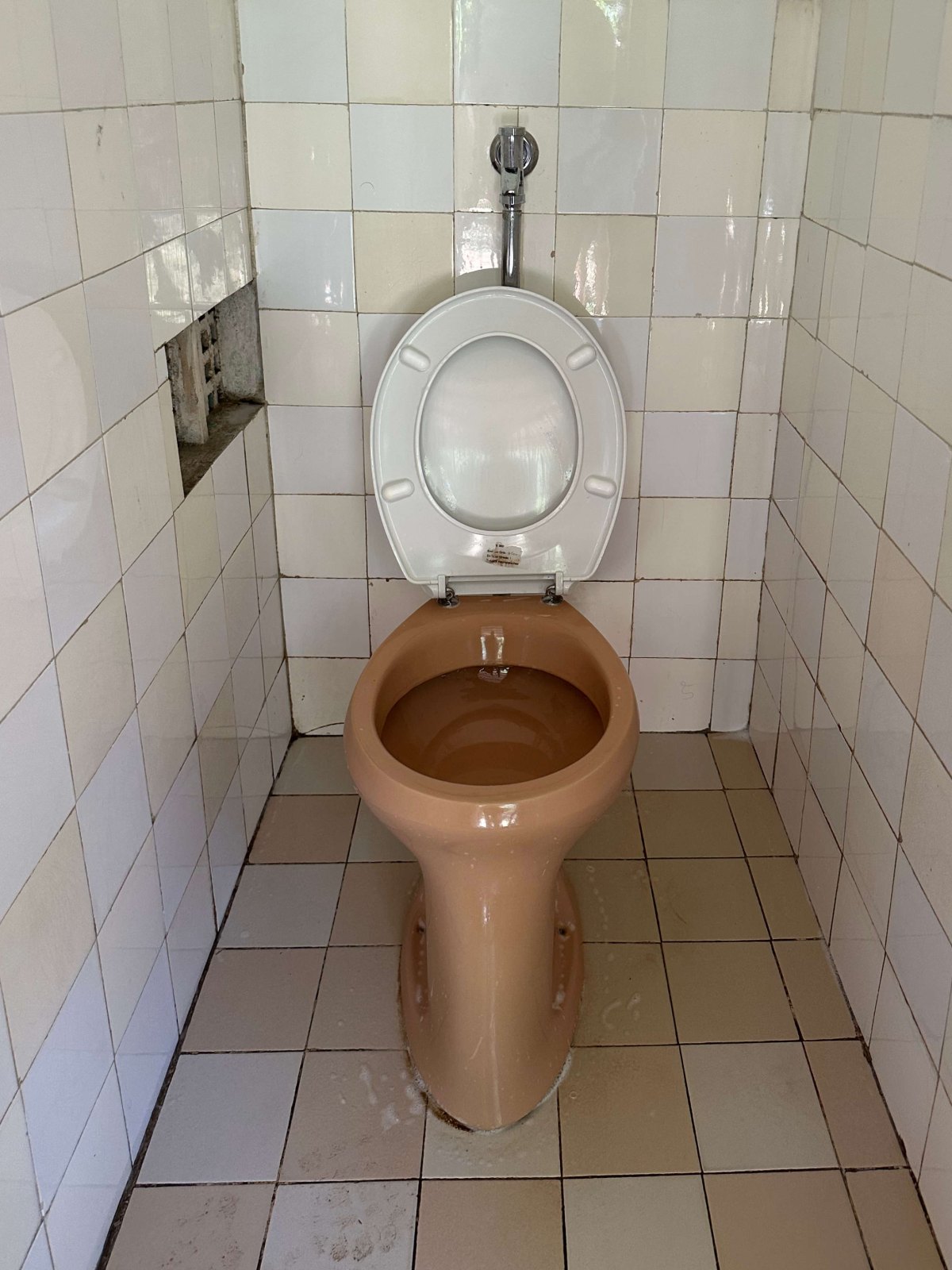 Tiszta WC a takarítás után