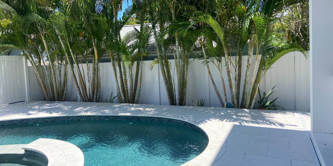 After: the same palms thinned and cleaned up, with the pool deck clear