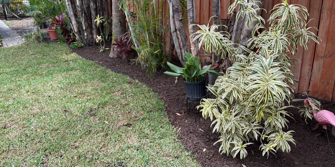 Side-yard bed along a wood fence, freshly edged and mulched beside the lawn