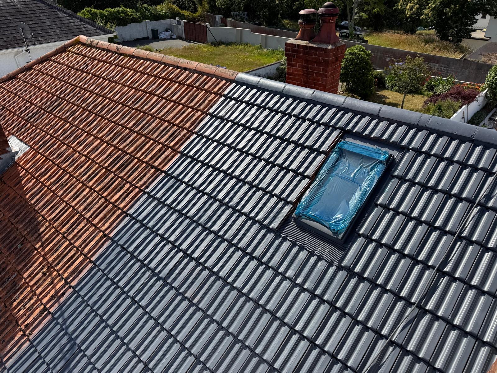 Roof partway through restoration, showing a clear boundary between treated grey and untreated orange tiles.