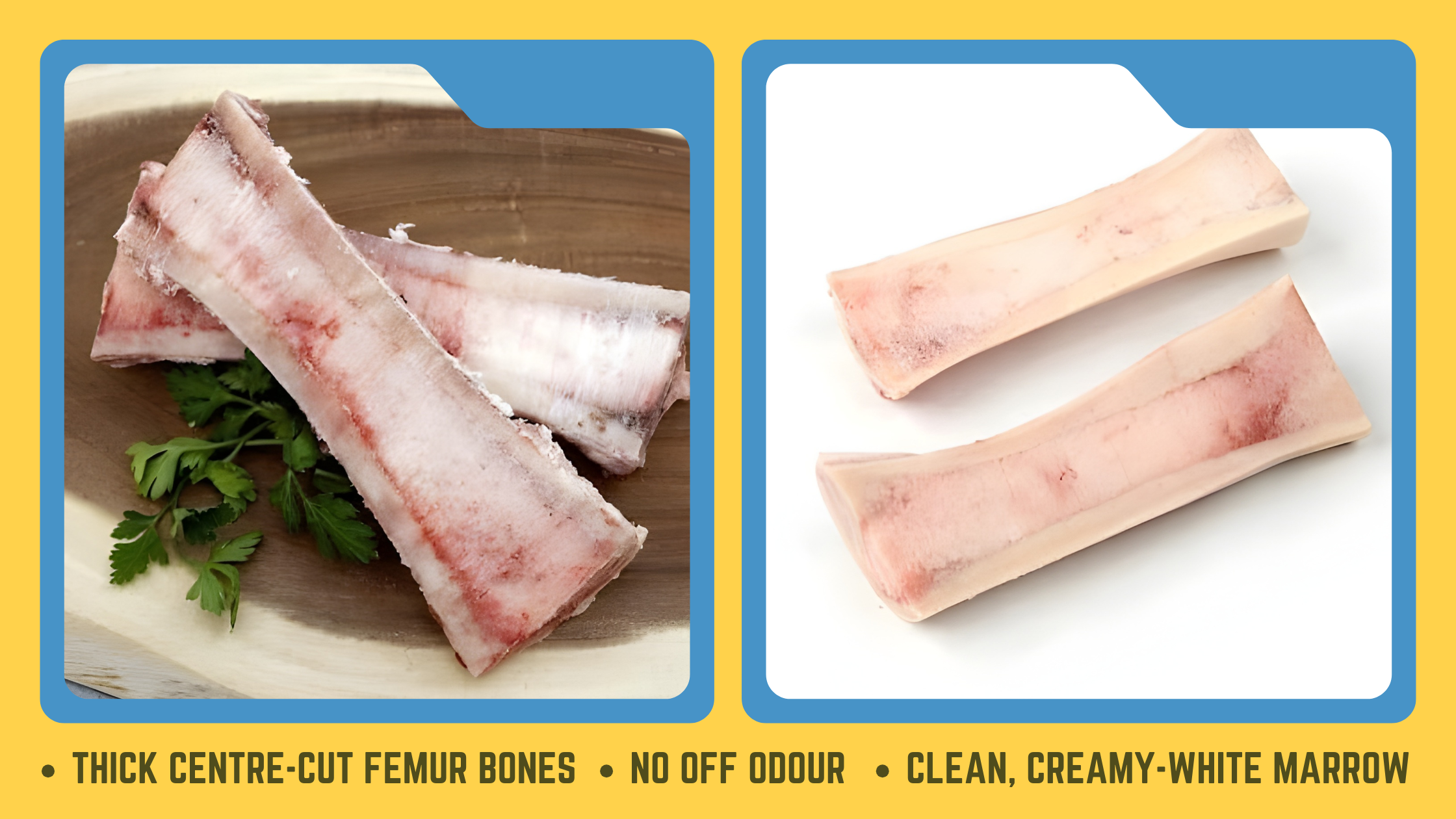 Selecting Bone Marrow Chimmi Blog