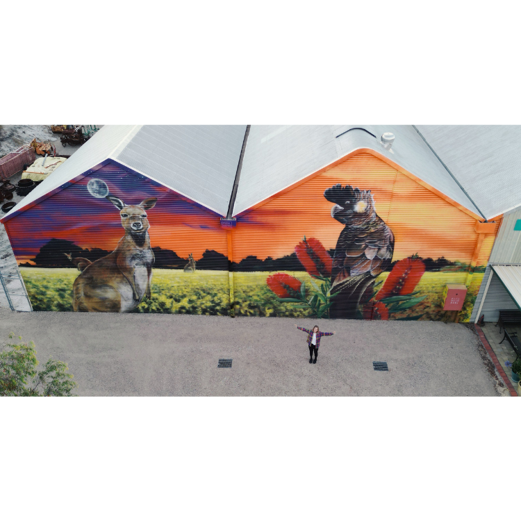 Kangaroo and cockatoo drone shot mural