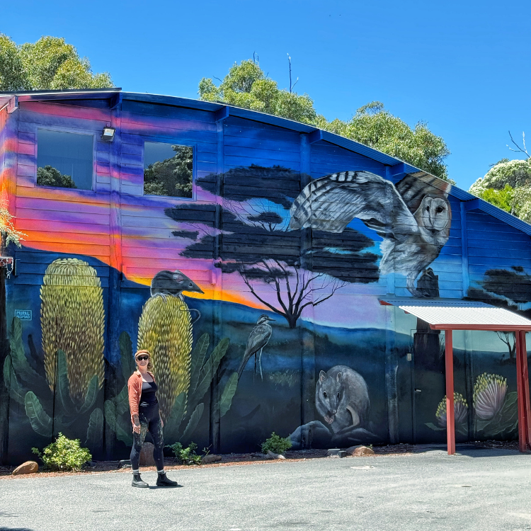 Massive ocean wildlife mural by Patrycja Hannagan