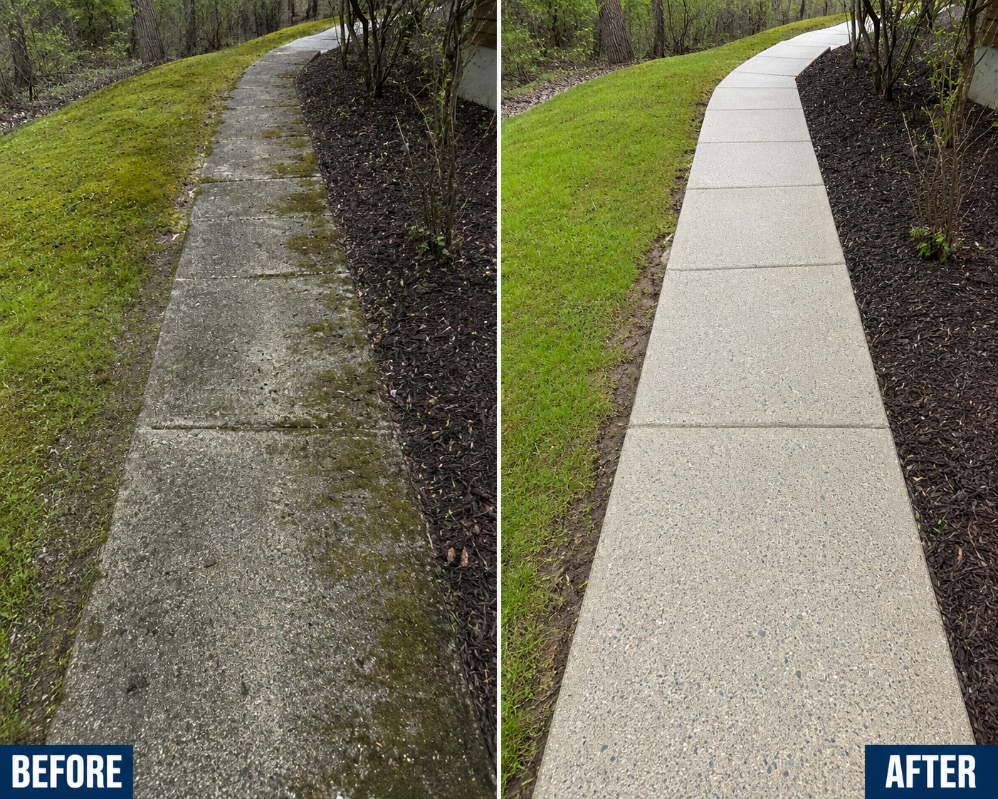 Before and after concrete sidewalk cleaning showing removal of moss, algae, and slippery organic buildup in Red Hook, NY.