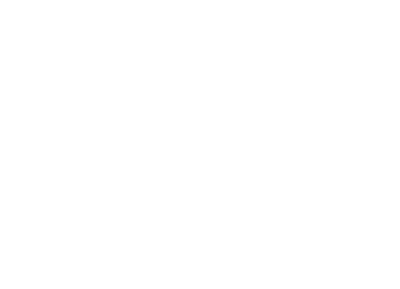 Varity Labs