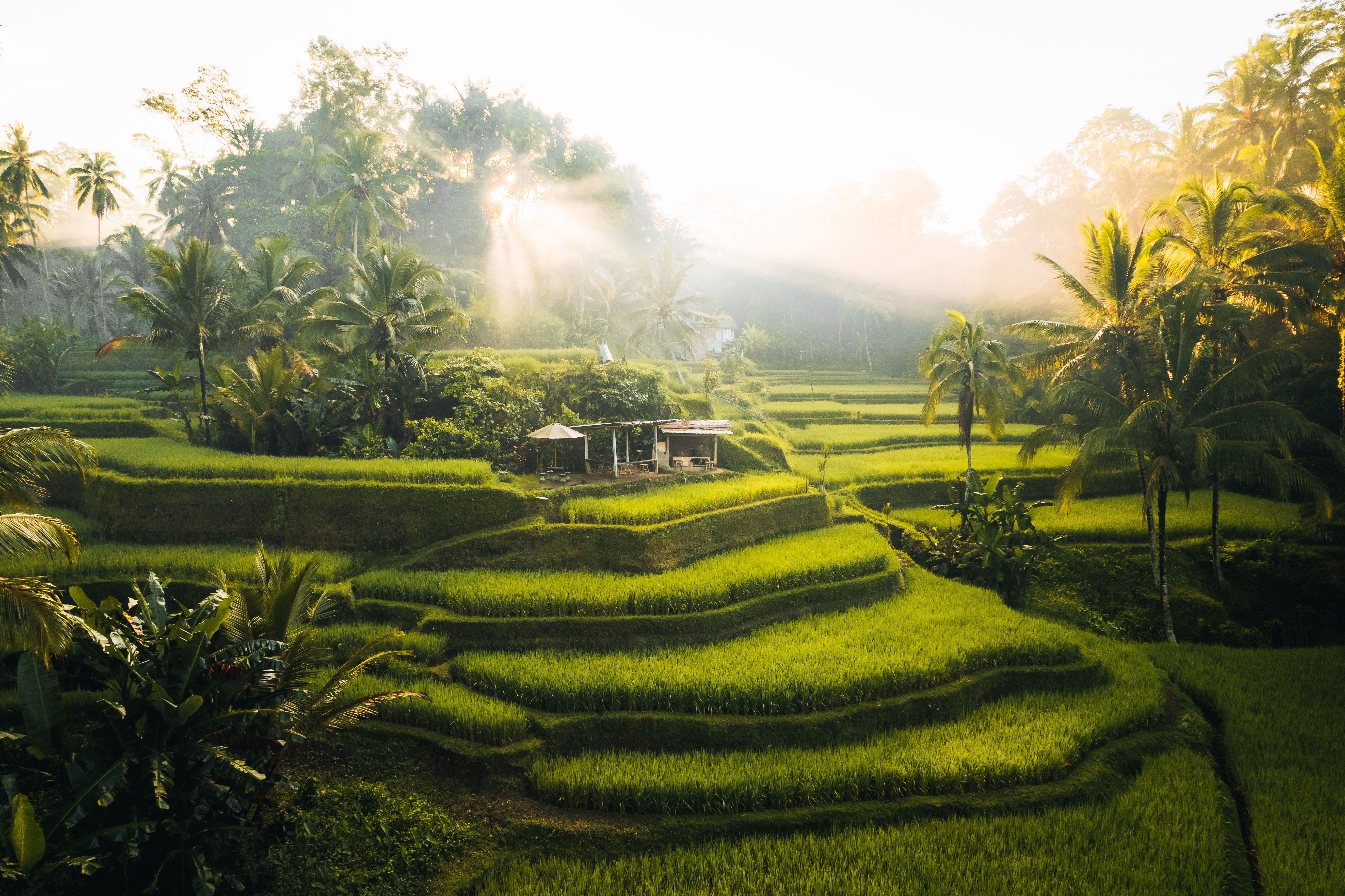 Bali
