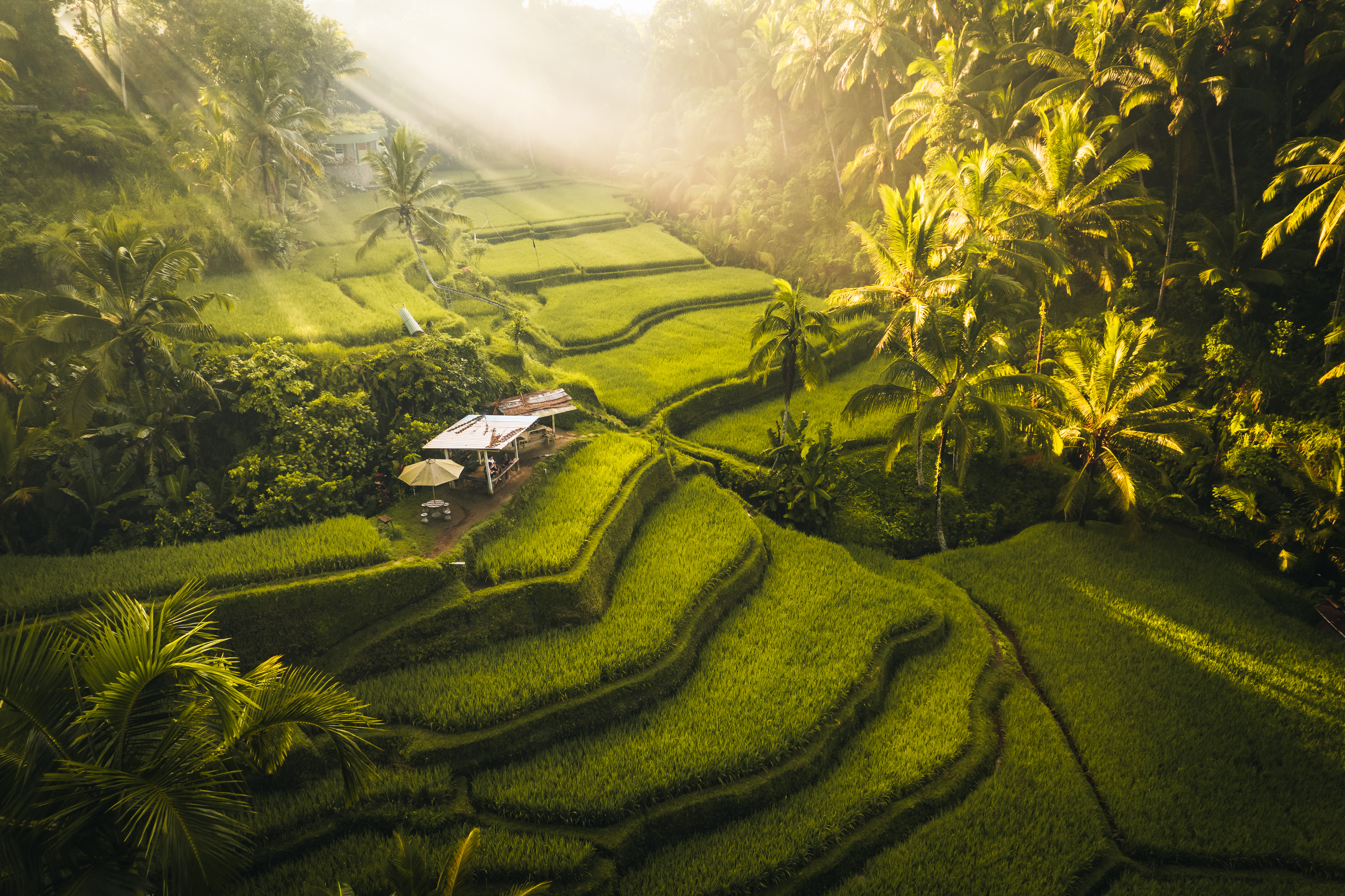Bali