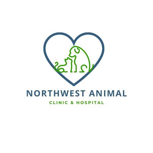 Northwest cheap animal clinic