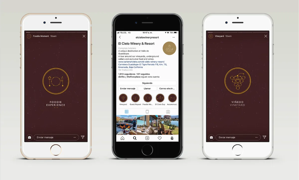 Diseño de perfil e historias destacadas de Instagram para viñedo y resort