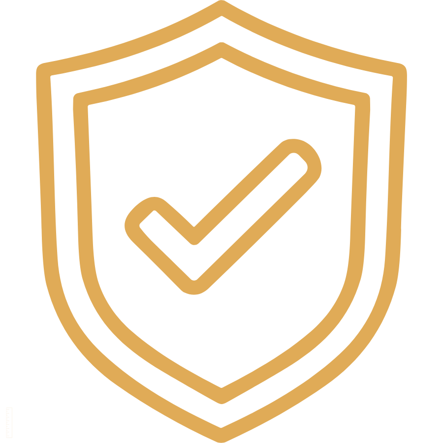 Fully Insured Shipping Icon