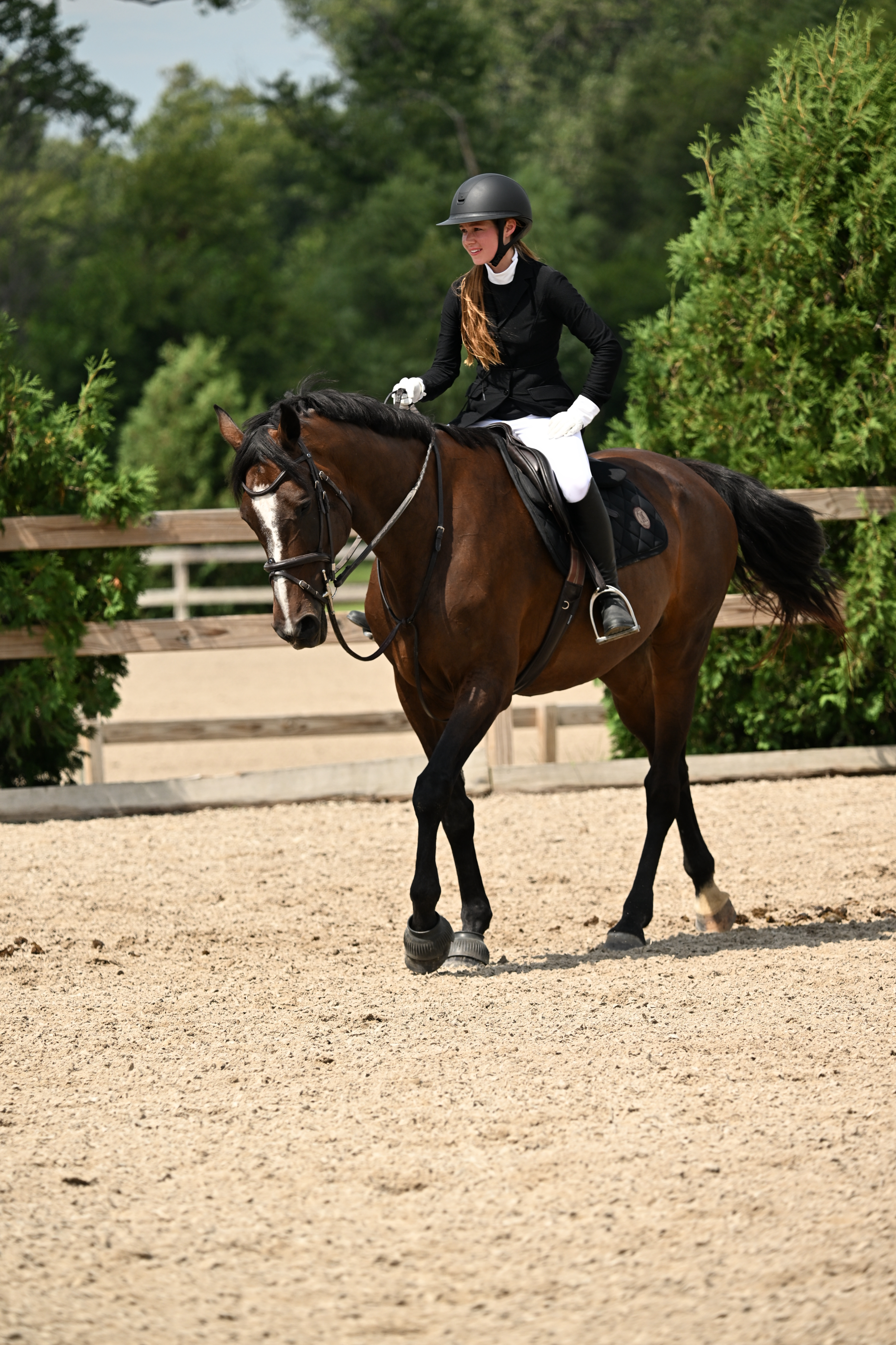 Kasey — Competitive Equestrian Show Jumper