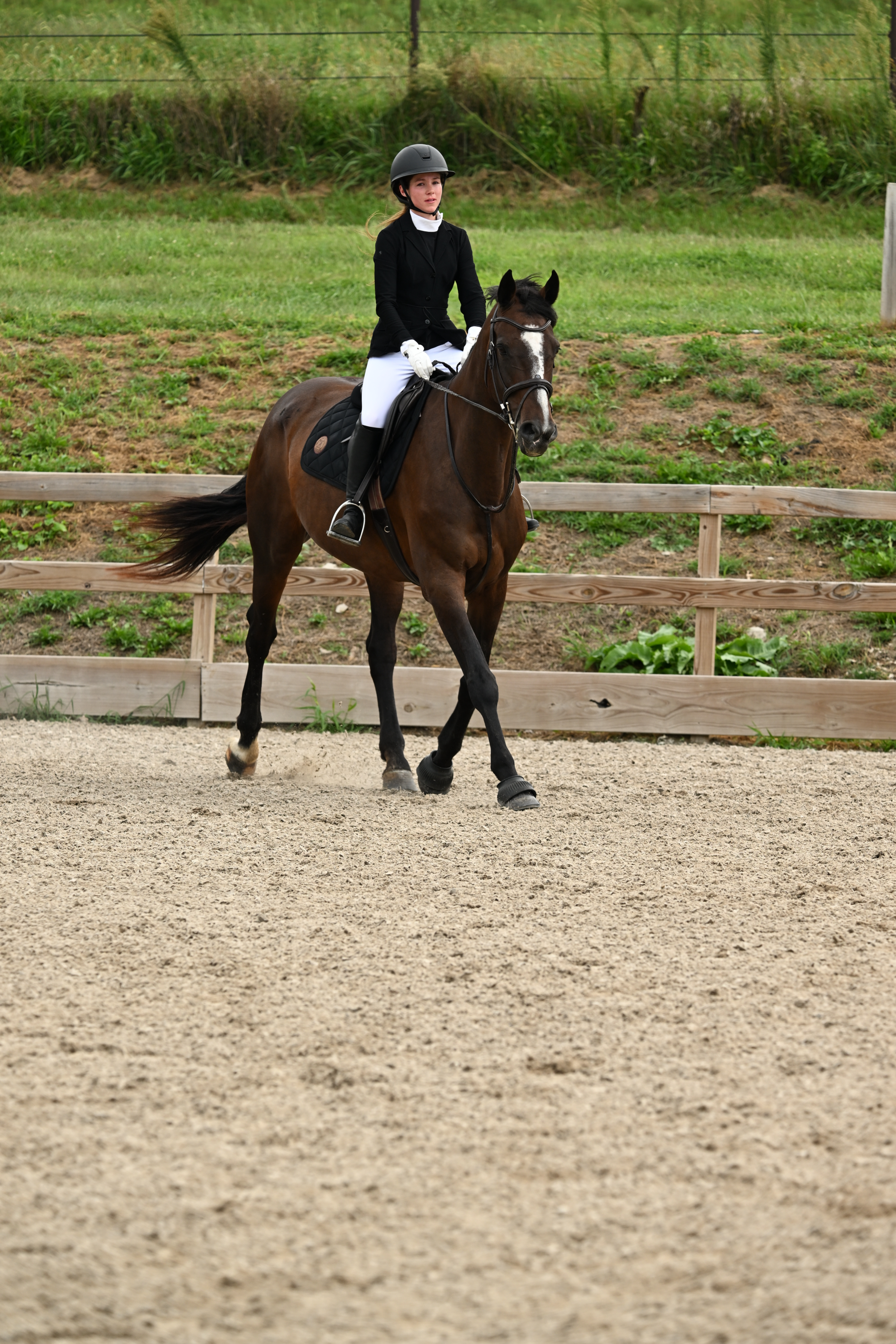 Kasey with horse — Competitive Equestrian Show Jumper