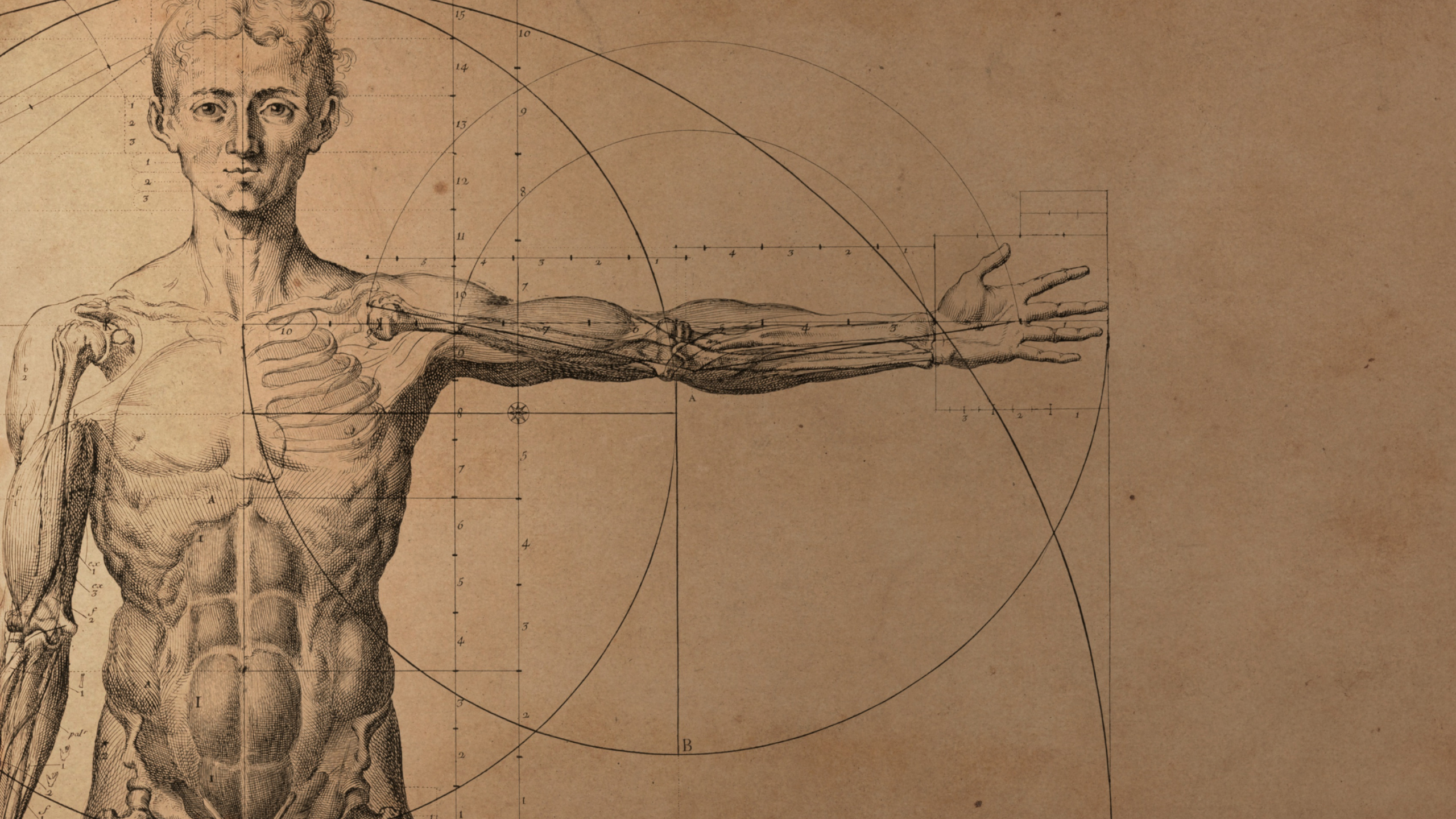 Quantum Human Design: A Map Back to Joy