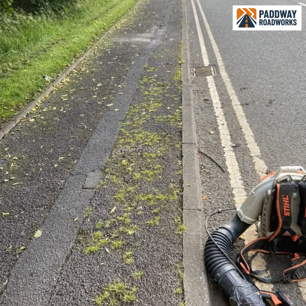 BEFORE — pavement edge overgrown with weeds, Stihl petrol blower being used to clear debris.