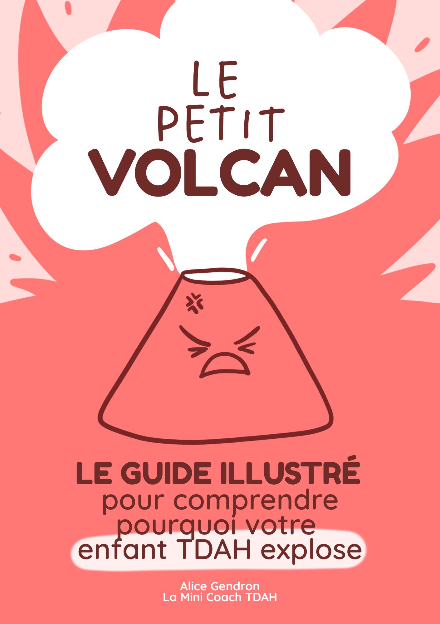 Couverture du guide illustr&eacute; Le petit Volcan