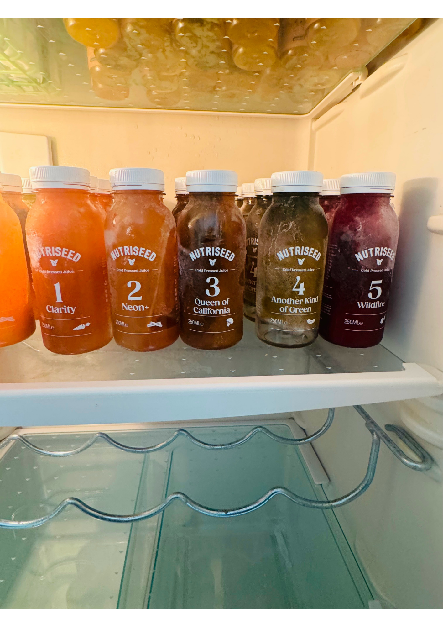 Nutriseed bottles lined up in fridge Nutriseed bottles lined up in fridge