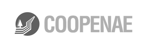 cliente logo 10