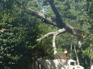 {{ custom_values.service_2 }} in {{custom_values.area_3})