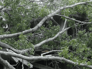 {{ custom_values.service_3 }} in {{custom_values.area_3})