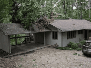 lot clearing in west union