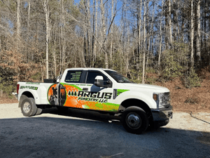 tree trimming in seneca